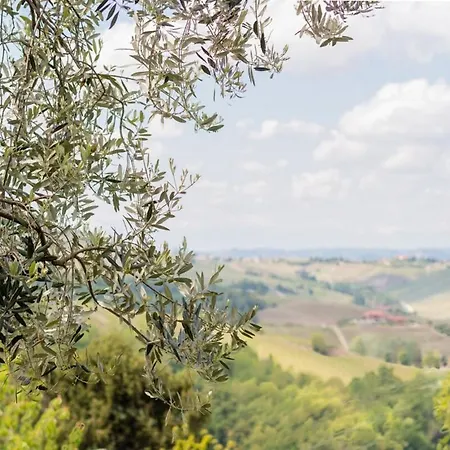 Tra Vigne E Stelle ネイヴェ