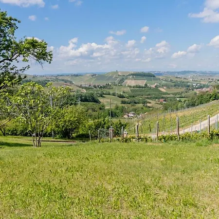 Tra Vigne E Stelle