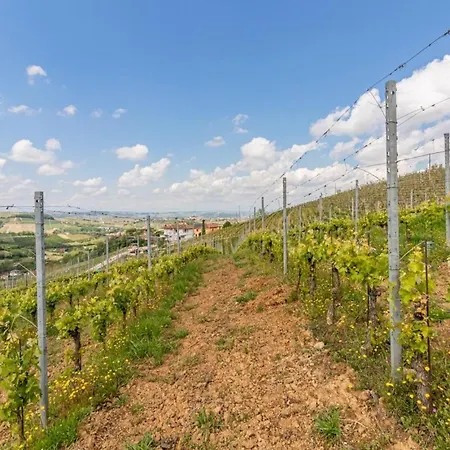 Tra Vigne E Stelle 別荘 *