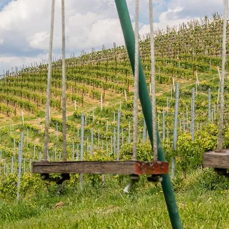 別荘 Tra Vigne E Stelle *