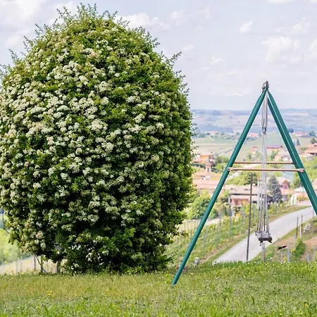 Tra Vigne E Stelle * ネイヴェ