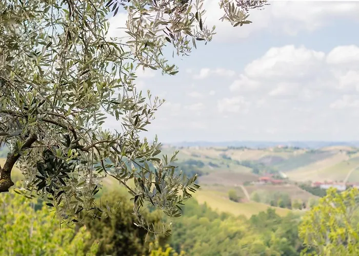 Tra Vigne E Stelle نيف