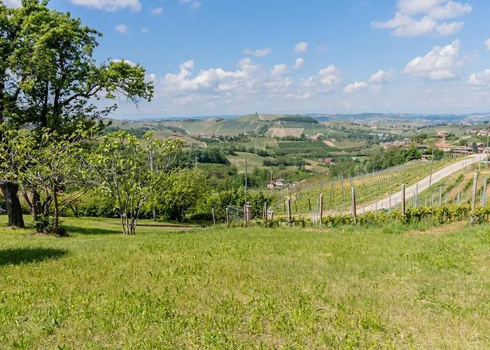 Tra Vigne E Stelle
