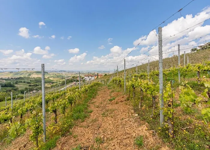 Tra Vigne E Stelle بيت للعطل *